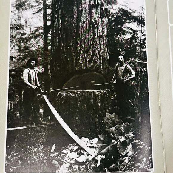 Time Life Books "The Loggers" The Old West Series Embossed Hardcover Book (1979) - Picture 8 of 11